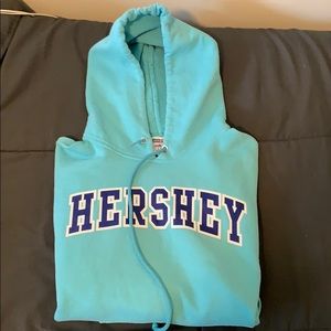 Jerzees Hershey Park Blue Hoodie